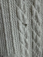 Zara Men’s Textured Polo Off-White (Size: M) (Used)