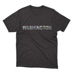 WASHINGTON Black T-Shirt | Silver Holographic / Hologram Text