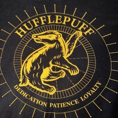 Wizarding World Harry Potter Hufflepuff Black T-shirt Medium Hogwarts School