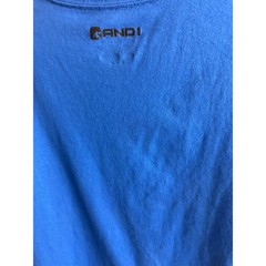 AND1 Mens Royal Blue Graphic Basketball T-Shirt Slam Dunk Streetball Tee