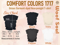 2XL 3XL Gildan 5000 Bella+Canvas 3001 Comfort Colors 1717 Unisex Adult T-shirt