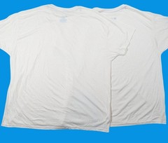 Hanes X-Temp Mens White T-Shirts Pack Of 2 Size XL Rayon Blend Crew Neck NWOT