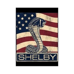 Carroll Shelby Cobra US Flag Logo 2-Sided T-Shirt