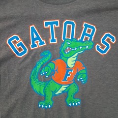 Florida Gators Mens Size XL Graphic T Shirt Short Sleeve Elite Fan Gray NCAA Tee
