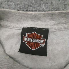 Harley Davidson T Shirt Mens L Gray Hillbilly HD Gatlinburg TN Motorcycles Biker
