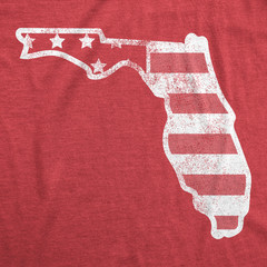 Mens Funny T Shirts American Flag Florida Awesome Fourth Of July Tee for Men