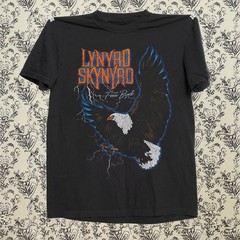 Lynyrd Skynyrd Free Bird Eagle, Unisex Black T-shirt, Size S-5XL