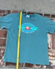 Vintage Hanes her way essential essence strawberry festival, T-shirt.made in USA