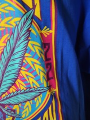 Hash Bash 2022 Ann Arbor T Shirt 5XL XXXXXL Marijuana Weed NEW