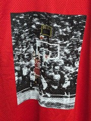 Air Jordan Last Shot Photo Jersey Men L Jumpman Mesh Last-Dance MJ Bulls Sewn