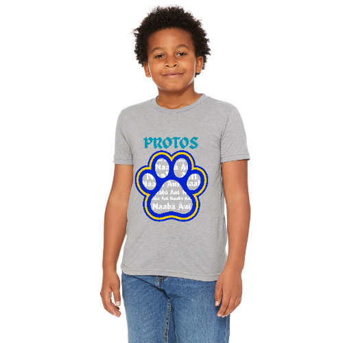 Protos Bobcat Graphic Tee Gray Turquoise House System Shirt T-shirt Youth RCA