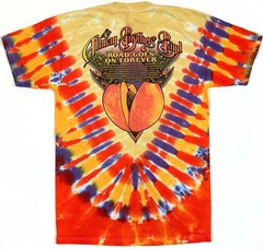 Not Fade Away Allman Brothers Peach on Tour Tie Dye Shirt