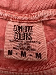 Comfort Colors Men’s T Shirt Sprig Rush Sigma Phi Epsilon 2022 Size M