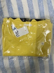 Rare Goku and Master Roshi Dragonball T-Shirt Japan Size XL from GU