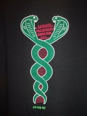 Soldiers D.N.A. Born inside the Beast black XL t shirt RUSH sigma beta rho