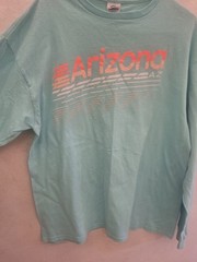 Arizona AZ Graphic T-Shirt Adult Large Aqua Blue Delta Pro Weight Cotton