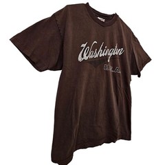 Washington USA Brown Large Graphic Tee Y2K Retro Alstyle Apparel Activewear