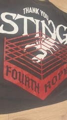 Westside Gunn ‘Thank You Sting’ T-Shirt XL 4th Rope WWE AEW, Oversized Fit (XL)