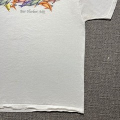 Vintage Fruit Of The Loom Bar Harbor Maine Dolphin Shirt XL Nature Graphic Tee