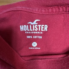Hollister California Men’s Red Logo Seagull Crew Neck Knit Cotton T-Shirt M