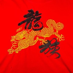 Vintage Dragon Shirt Adult Medium Red China Art Writing Men