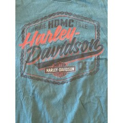 Harley Davidson Chandler Arizona Rattlesnake Long Sleeve T-Shirt Teal Mens XL