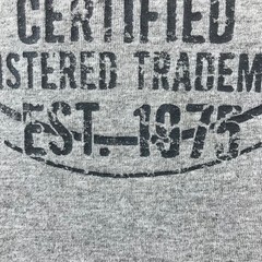 Avirex Classics Graphic T-Shirt Mens Large Gray Short sleeve