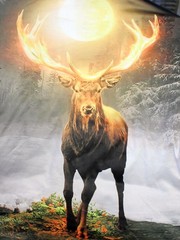 No Brand Dye-Sub Shirt, Deer w/Antlers, Short Sleeve, Poly/Spandex, 3XL