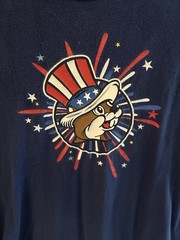 Buc-ees Large Land Of The Free Blue 4th Of July T-Shirt Fireworks Patriotic EUC