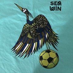 Sea Win Men’s Blue Graphic Print T-Shirt Bird & Soccer Ball FIFA