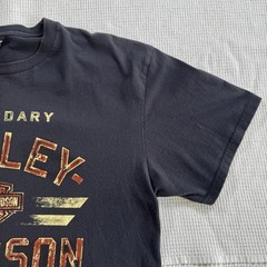 Harley Davidson T-Shirt Men’s XL Polar Bear Farthest North Outpost Fairbanks AK