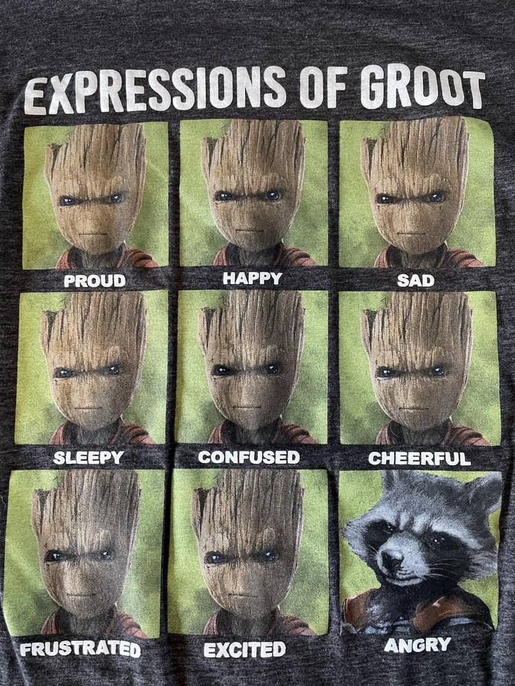 Marvel Guardians Of The Galaxy T-Shirt Expressions Of Groot Rocket Small