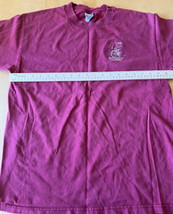 HANES 1998 DOOR COUNTY ENTURY EMBROIDERED BIKE BURGANDY T SHIRT SZ L