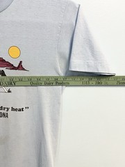 Vintage 80s Sedona Arizona Humor T Shirt Medium Faded Worn Single Stitch USA