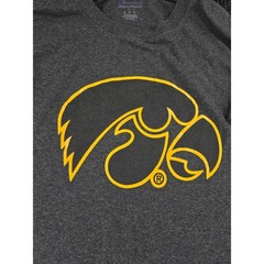 Champion Mens Iowa Hawkeyes Graphic T-Shirt Heather Charcoal Small NCAA Tee