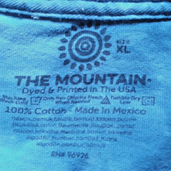 The Mountain Graphic Tee Shirt Flying Eagle Nature Blue 100% Cotton USA Men’s XL