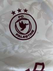 palestine falestine shirt high quality fabric