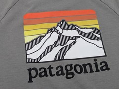 Patagonia Long Sleeve Logo T-Shirt Mens L Graphic Gray Organic Cotton