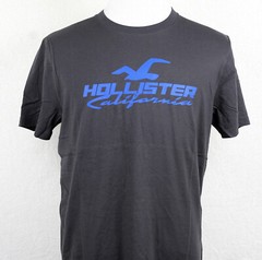 Hollister Graphic T-shirt Crew Neck Short Sleeve 100% cotton all colors
