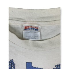 Vintage Hanes Heavyweight T Shirt Single Stitch Texas Wildflower USA LadyBird XL