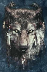 The Mountain 2011 Manimals Native American Wolf Headphones Tie Dye TShirt Large