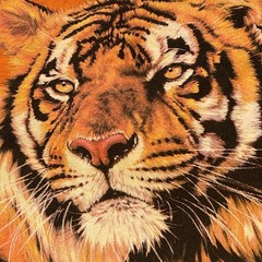 The Mountain Shirt Graphic T Mens Tiger Orange Tie Dye XL Cotton Y2K Big Cat