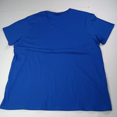 Champion Men’s Classic Jersey T-Shirt Surf the Web Size 2XL XXL Blue