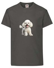 Bichon Friese Dog White Pet Family Novelty T Shirt Various Colours And Sizes