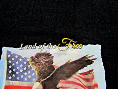 “LAND OF THE FREE, HOME OF THE BRAVE” ~(100% COTTON T-SHIRT / L)~ *UNISEX / NEW*