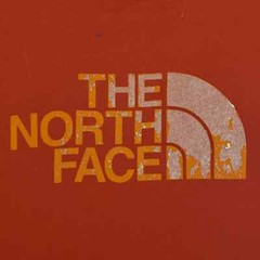The North Face Shirt Mens Large Red Spellout Large Logo Outdoors Classic Fit