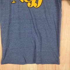 Neff T Shirt Mens Small Blue Cotton Spellout Logo Graphic Outdoor Everyday Wear