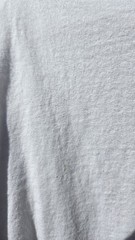 Vintage Oregon Archaeological Society White Longsleeve T Shirt Adult XL