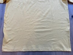 NWT Carhartt Loose Fit Heavyweight SS Pocket T-Shirt Irregular Men’s XLT Tall