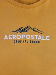 Aeropostale Men’s Large Yellow Graphic T-Shirt Original Brand Mountain Crew Neck